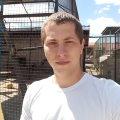 ВКонтакте: Назар Кровіцький Львов - профиль, анонимный анализ