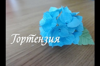 ГОРТЕНЗИЯ ИЗ ГОФРИРОВАННОЙ БУМАГИ