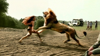When Animals Go On A Rampage And Got Caught On Camera !