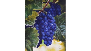 Виноградная гроздь, холст 40x50, акрил