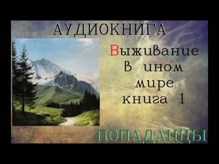 АУДИОКНИГА: ПОПАДАНЦЫ- ВЫЖИВАНИЕ В ИНОМ МИРЕ КНИГА 1