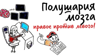 Полушария мозга: ПРАВОЕ ПРОТИВ ЛЕВОГО!  Научпок