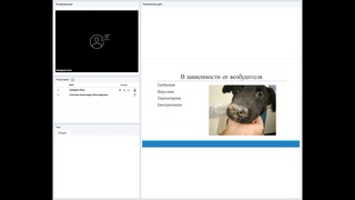 Пневмонии. Этиология. Клинические признаки. Диагностика. Лечение