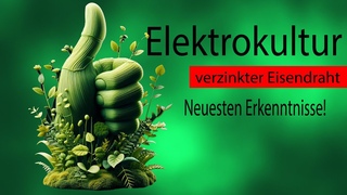 Verzinkter Eisendraht aber: Metall im Boden macht deine Pflanzen krank!