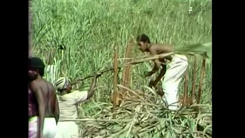 Рабыня Изаура (1976 1977) Трейлер (1