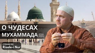 Чудеса Пророка Мухаммада | #ислам #мухаммад #пророк #вера #религия #духовность