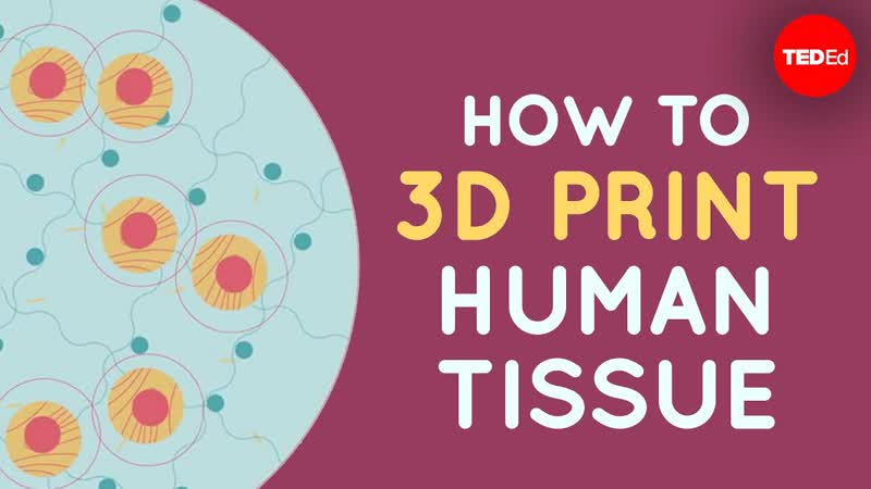 How to 3 D print human tissue Taneka