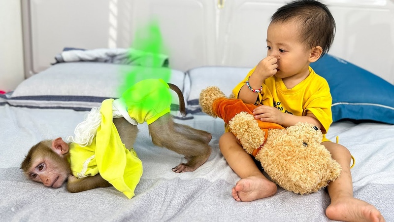 Baby Diem called for Mom help when see Monkey Kaka