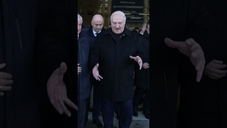 Лукашенко: Рубил дрова, упала колодка! Килограмм 80! #shorts