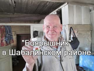 Боярышник в Шабалинском районе