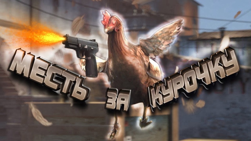 CS: GO МЕСТЬ ЗА КУРОЧКУ (ПРИКОЛЫ,