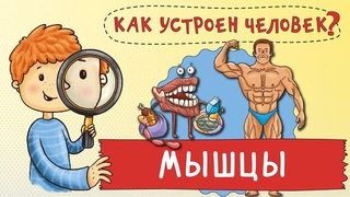 Как работают мышцы Путешествие по вашему телу. Развивающий мультик для детей.