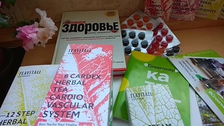 Хроники наставника. 12 серия.