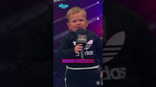 СУЛЬЯНОВ В ШОКЕ С ХАСБИКА hardcore! #shorts