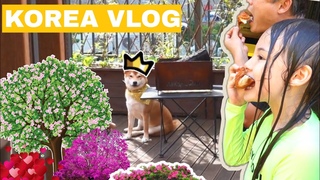 Вернулась домой, а дома бардак  Домашний влог / KOREA VLOG /