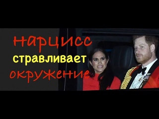 Нарцисс в образе жертвы  Меган Маркл