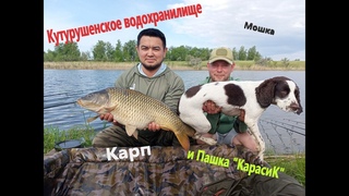 Кутурушенское водохранилище. Карп, мошка и Пашка КарасиК.