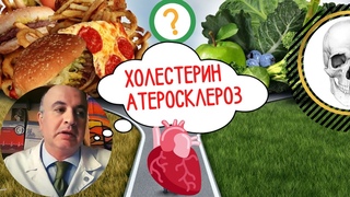 Есть ли связь между уровнем холестерина в крови и атеросклерозом?
