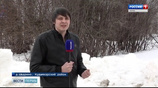 Зачем на деревьях блины