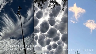 What Just Happened On Our Earth!!! July 2024 #Naturaldisasters part.6