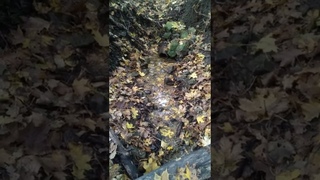 На роднике в Смирновском ущелье)