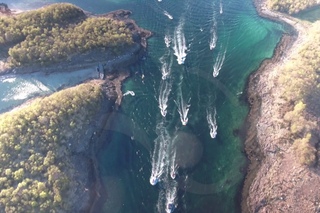 Rescue operation of 5 trapped orcas in a bay in Norway!!!