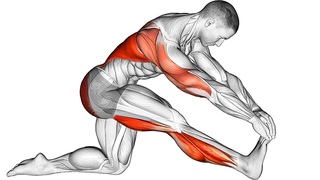 Stretching Exercises for All Leg Muscles