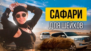 Побывали на сафари для Шейхов в Дубае! 4-й день Инвестиционного тура.