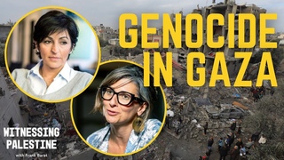 Israel's genocide in Gaza exposes the racism of the international system  | Witnessing Palestine