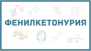 Фенилкетонурия - причины, симптомы, диагностика, лечение