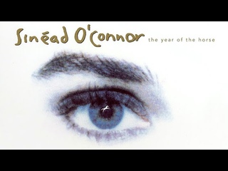 Sinad O'Connor - The Year of the Horse (Live 1990)